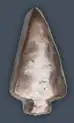 Arrowhead ribbon device