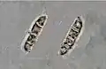 Photograph of two spores (3-septate, 4-celled) from Arthonia caesia taken through a compound microscope, x 1000. (spores measure 21 x 5 micrometres)