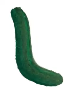 Reconstruction of Tawuia as a coenocytic macroalgae lacking epibionts