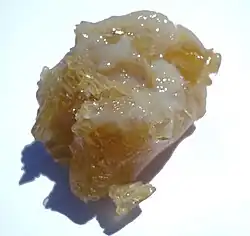 Very irregularly shaped piece, amber-colored, with whitish areas on the upper surface that are still moist and glossy.