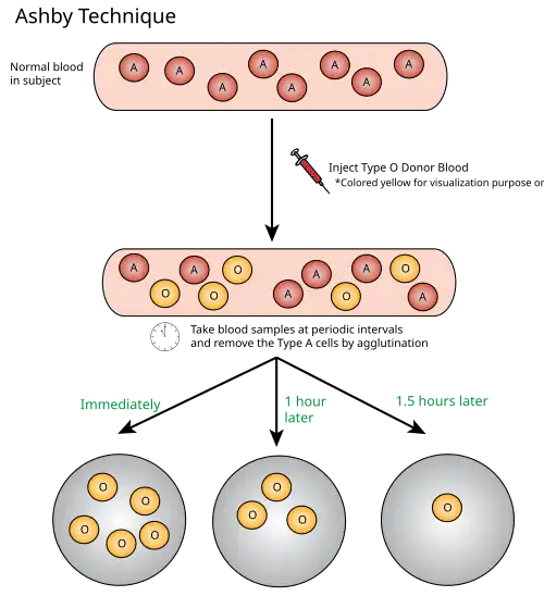 Ashby Technique Visual Representation.