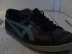 An Asics sports shoe