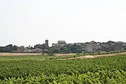 Assignan