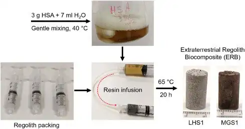 Scheme depicting the typical fabrication procedure for producing HSA-based biocomposites