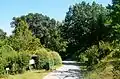 A view of the arboretum.