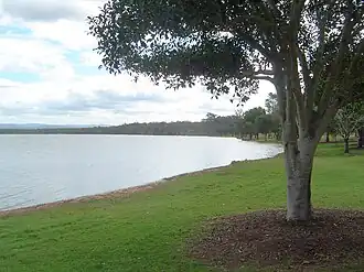 The shores of Lake Atkinson, 2011