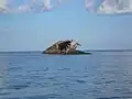 SS&nbsp;Atlantus