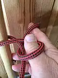 Falconer's knot 3 : End bight scissored between fingers to thumb loop