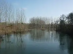 The river Aube