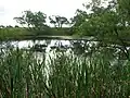 The flooded Auchenmade claypit.