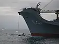 Yūshin Maru with a Whale