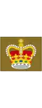 Warrant officer class 2