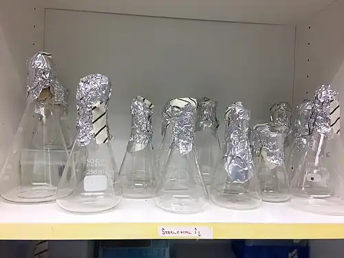 Autoclaved sterile Erlenmeyer flasks covered with aluminium foil