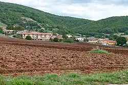 Avendita