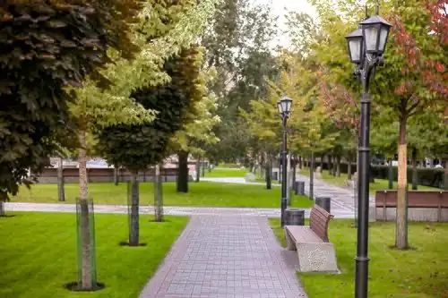 Green area of the park
