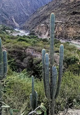 Habitat in Surcubamba, Peru