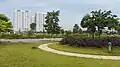 Bach Dang Lake view urban area, Hai Duong city