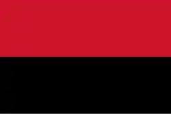 Flag of La Grita