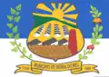 Flag of Serra do Mel