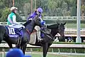 Classic winner Arrogate
