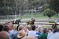 In the stretch, California Chrome leads by 1+1⁄2 lengths