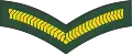 Lance corporal (Barbados Regiment)[41]