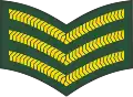 Sergeant (Barbados Regiment)[54]