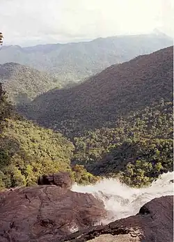 Bạch Mã National Park