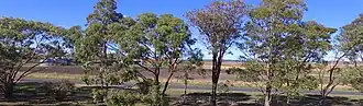 Back Plains landscape, 2023