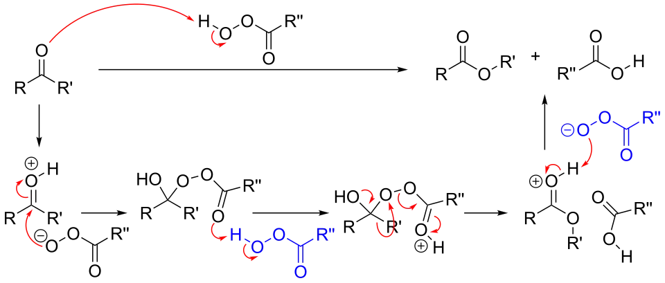 Reaction mechanism of the Baeyer-Villiger oxidation.