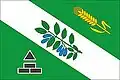 Flag of Bakcharsky District