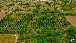 Baki_awdal_district