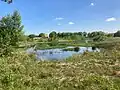 Nature near Bakkeveen