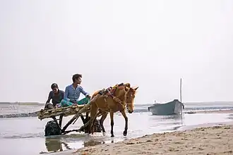 Balasighat