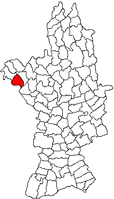 Location in Olt County