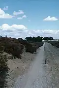 A recreational cycle path made of crushed seashells, Balloërveld