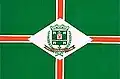 Flag of Viana