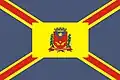 Flag of Artur Nogueira