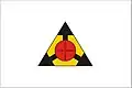Flag of Ituiutaba