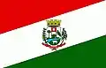 Flag of Muitos Capões