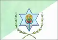 Flag of Boa Vista
