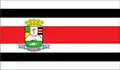 Flag of Anajatuba
