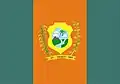 Flag of Correntes