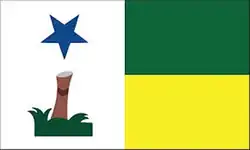 Flag of Feijó
