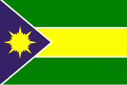 Flag of Ferreira Gomes