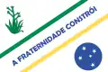 Flag of La Inmaculada