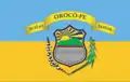 Flag of Orocó