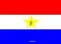 Flag of São Benedito do Rio Preto