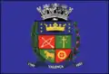 Flag of Valença
