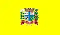 Flag of Paranavaí